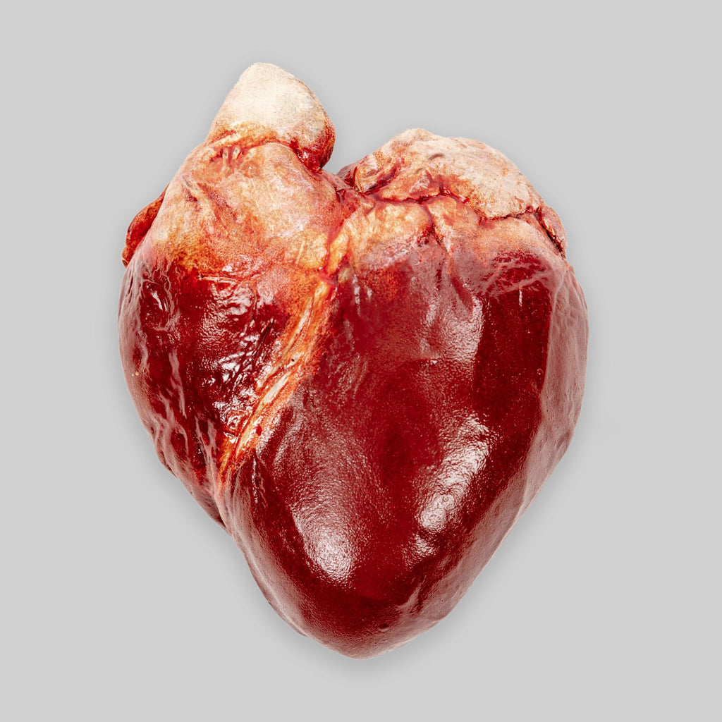 Human Heart (Chocolate)