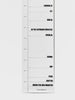 Monster Height Chart